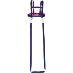 SPIEGELBURG COPPENRATH Pferdeleine Pferdefreunde